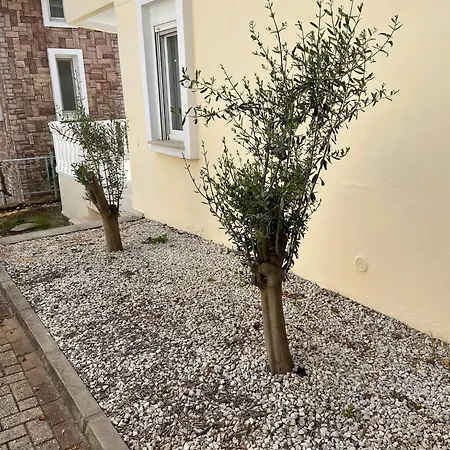 Апартаменты Tepe Алания